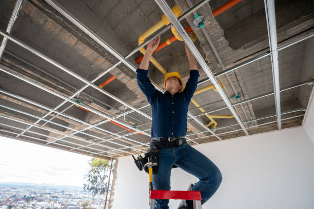Best Emergency Plumber  in Hanamaulu, HI