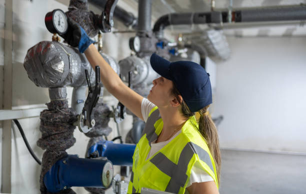 Best Plumbing Services Near Me  in Hanamaulu, HI