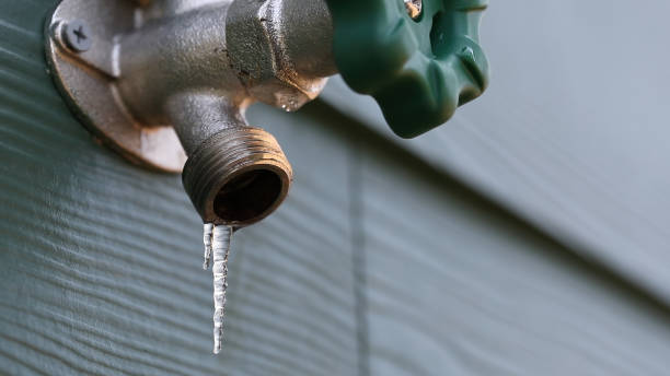 Best Affordable Plumber Near Me  in Hanamaulu, HI