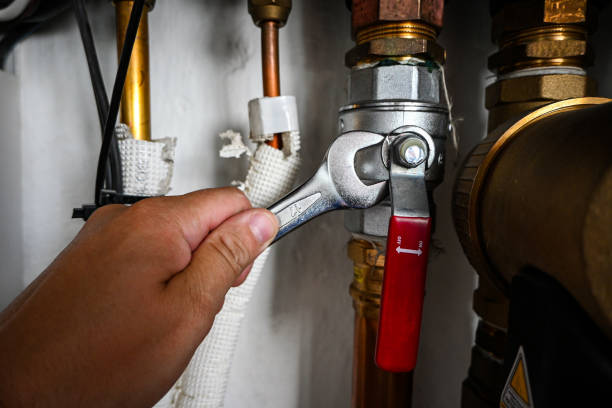 Best Pipe Repair Near Me  in Hanamaulu, HI
